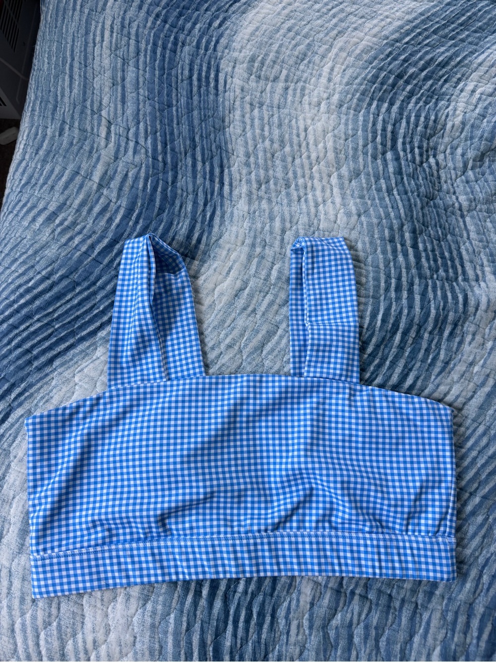 Addison Bay Blue and White Gingham Top